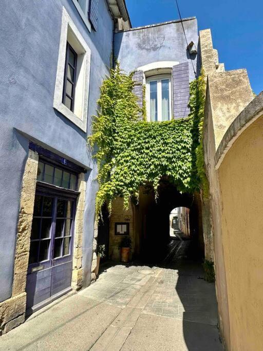 Lou Paseo : Appartement Brocante Centre Historique L'Isle-sur-la-Sorgue Exterior photo